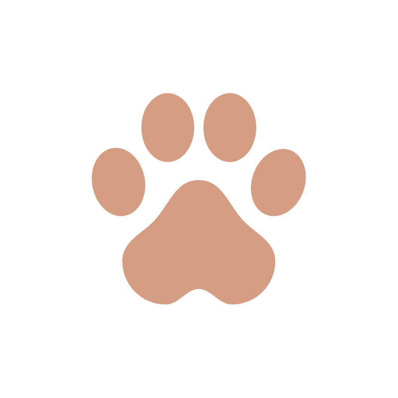 A dog paw