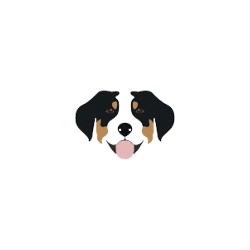 A laughing cartoon of an Entlebucher